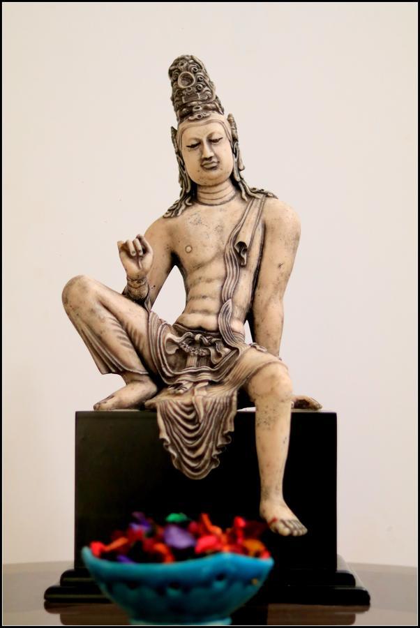 Seasons Villa Sigiriya, Sri Lanka 丹不拉 外观 照片